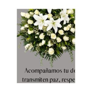 Lágrima Refugio Eterno